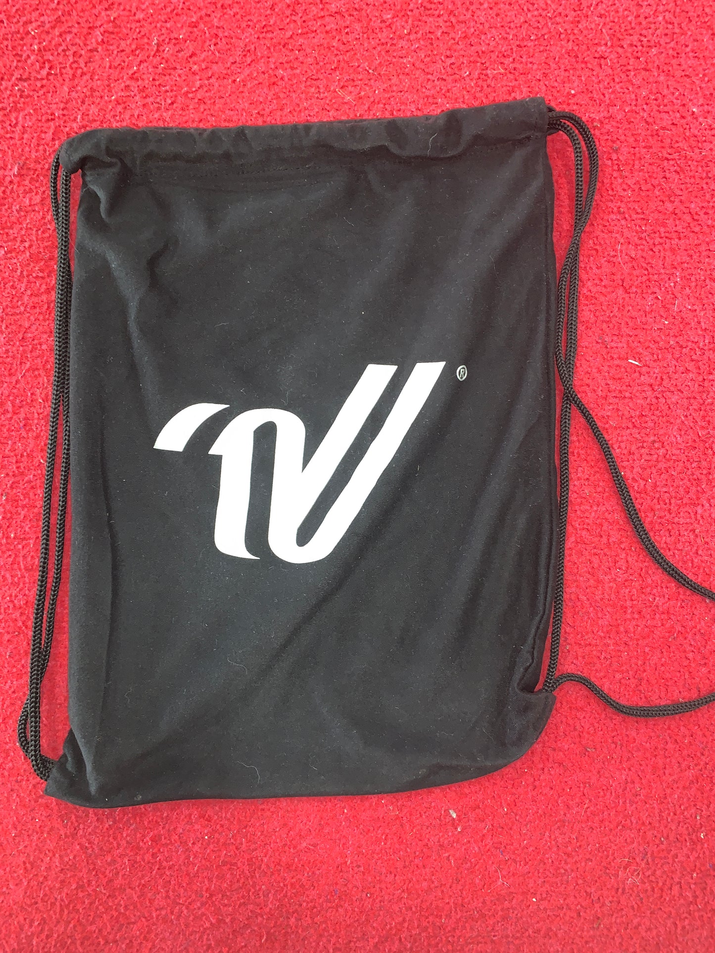 Shoe Bag