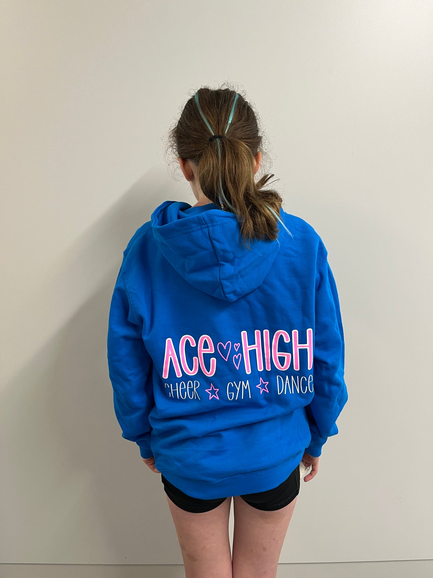 Ace High Blue Hoodie